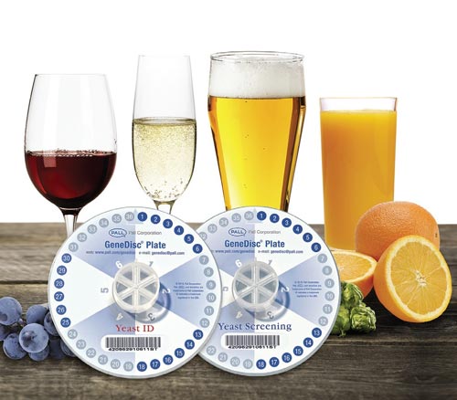 Craft Breweries - GeneDisc® Technologies - Yeast Detection and Identification product photo Primary L