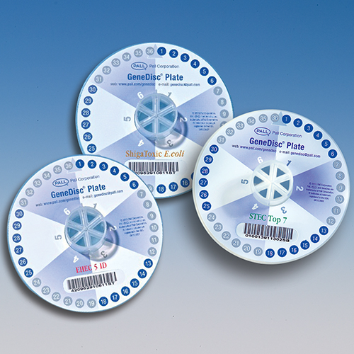 GeneDisc® STEC/Salmonella 12, GSTECSL212006 product photo Primary L